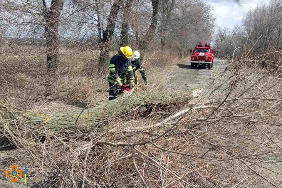 В Днепропетровской области спасатели убирают поваленные деревья с автодорог 2