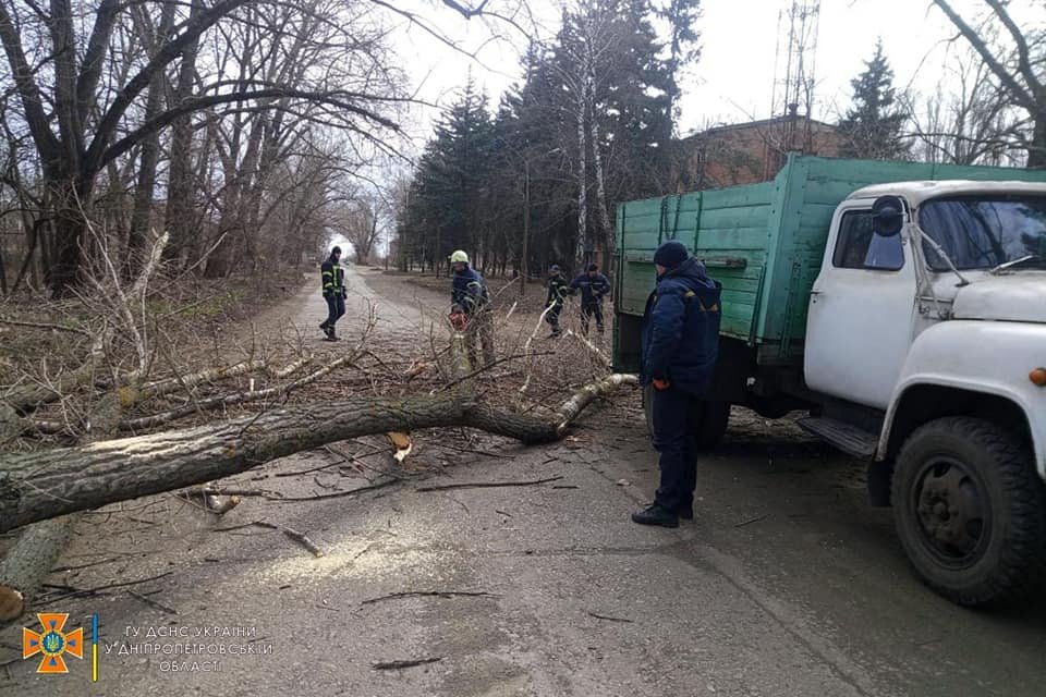 В Днепропетровской области спасатели убирают поваленные деревья с автодорог 3
