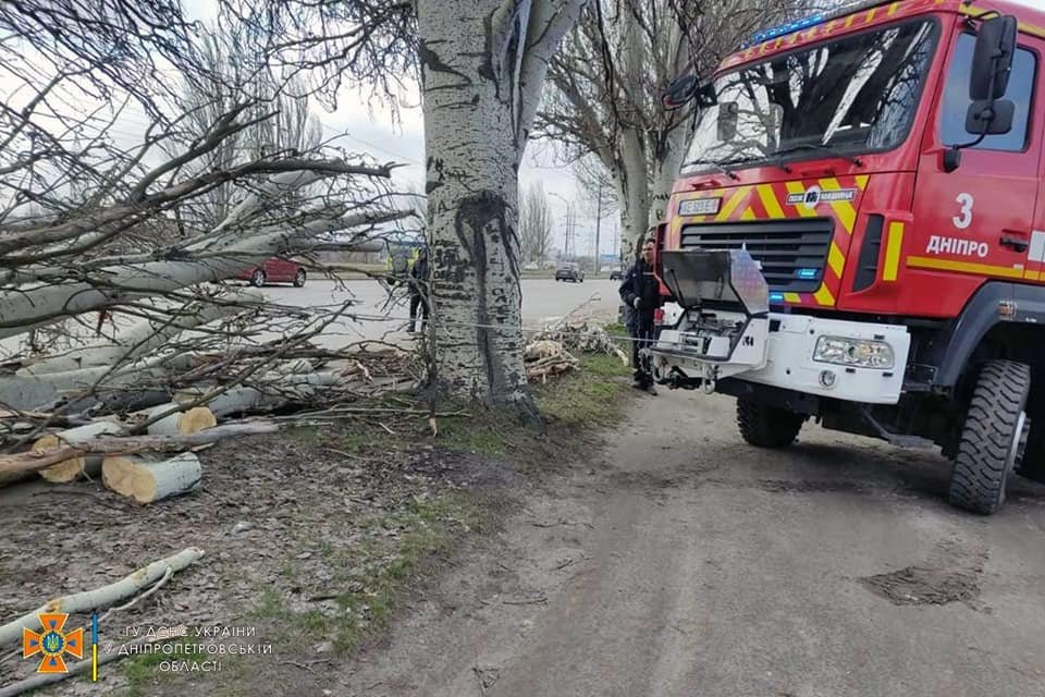В Днепропетровской области спасатели убирают поваленные деревья с автодорог 4