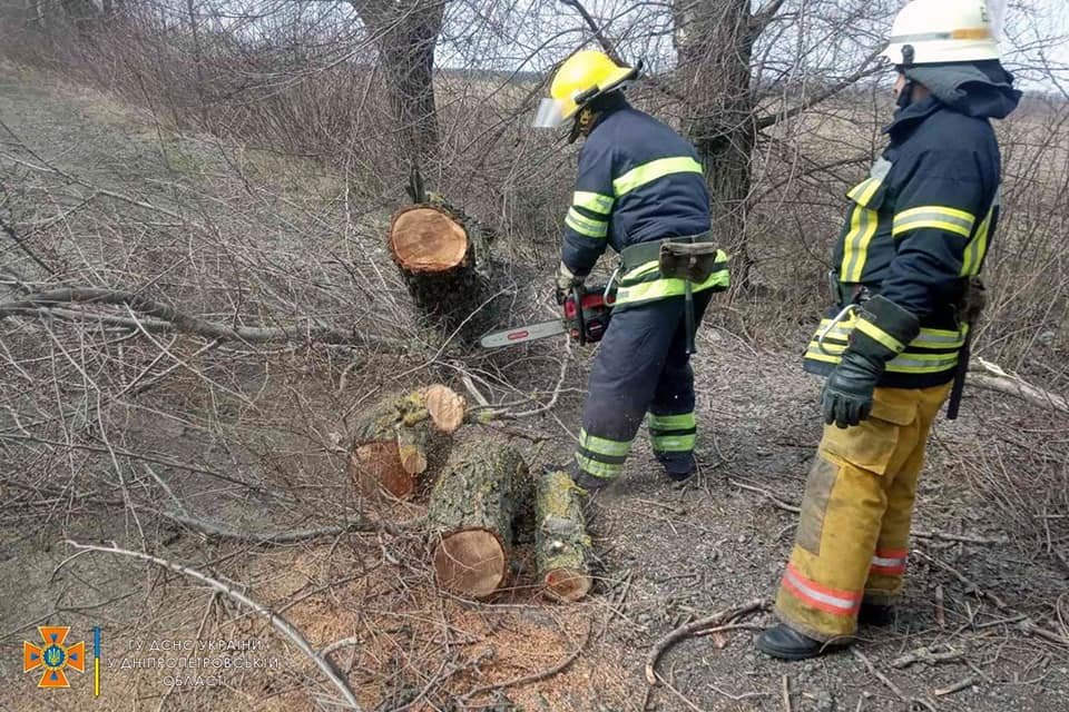 В Днепропетровской области спасатели убирают поваленные деревья с автодорог 6