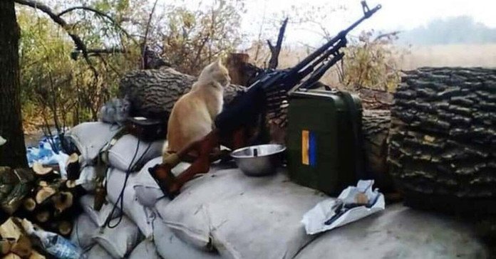 Доброго вечора, ми з України Доброго вечора, ми з України