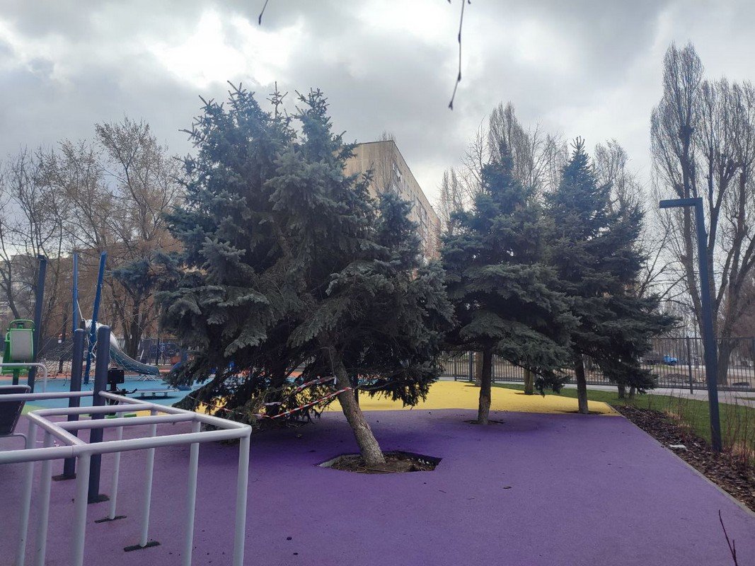 В Днепре в отремонтированных скверах продолжают фиксировать случаи вандализма 2