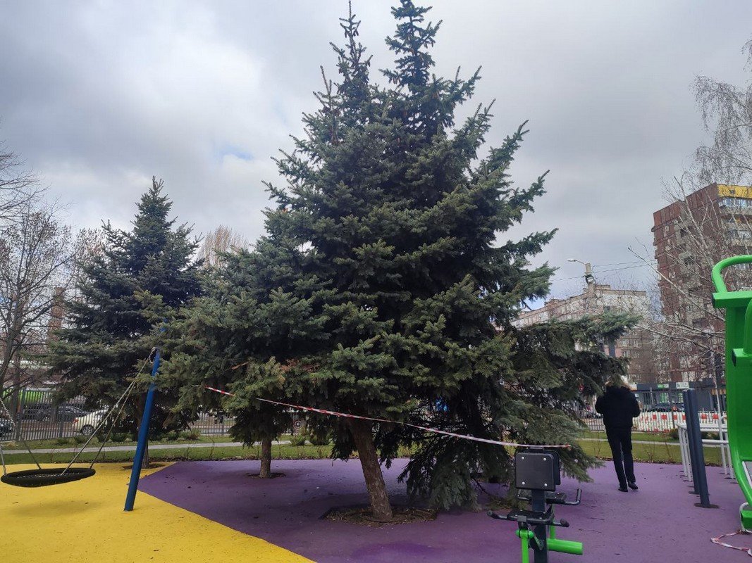 В Днепре в отремонтированных скверах продолжают фиксировать случаи вандализма 5