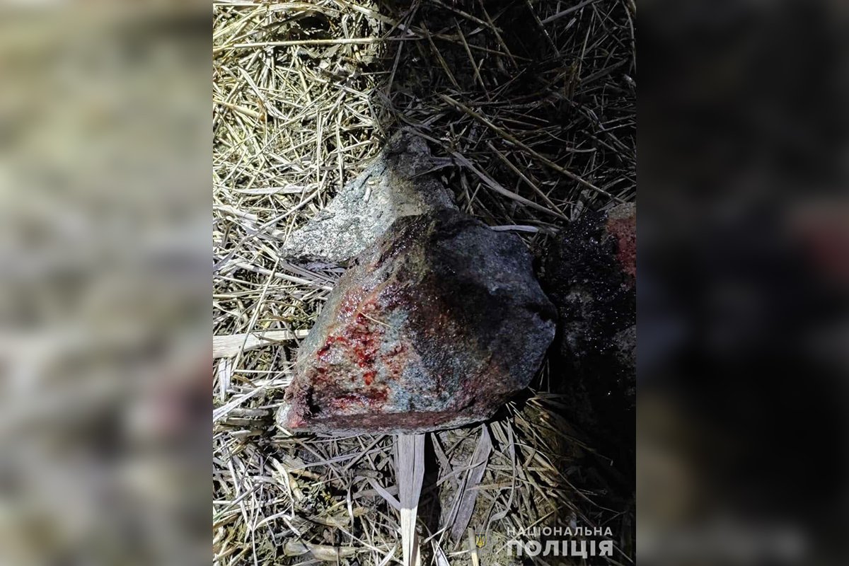 Камень, которым забили 33-летнего мужчину Камень, которым забили 33-летнего мужчину