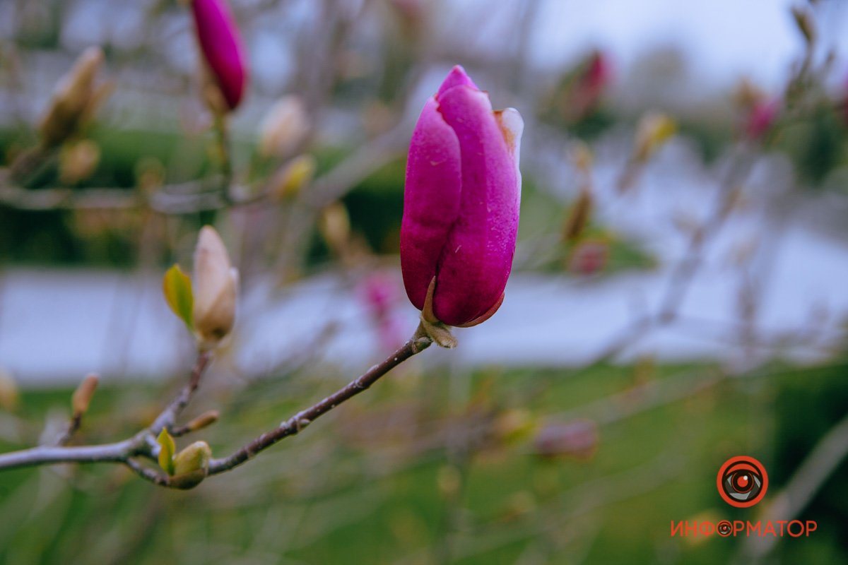 Еще немного и мы увидим красоту Еще немного и мы увидим красоту