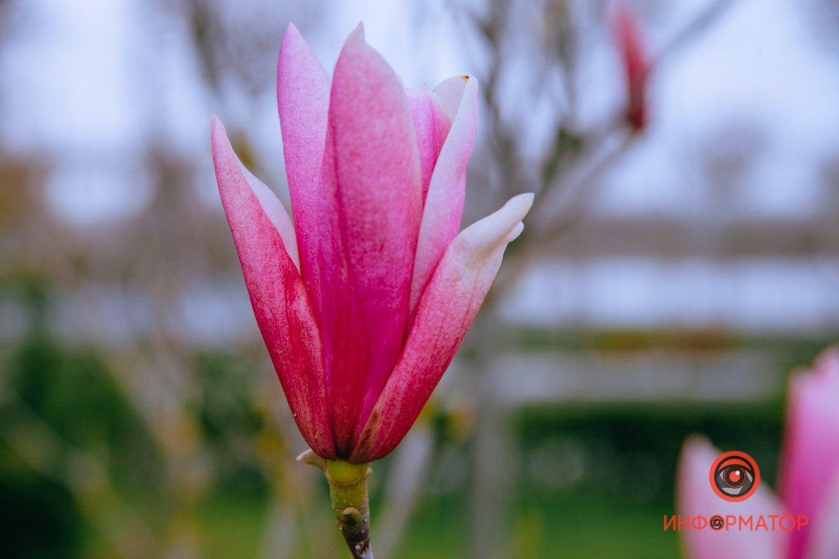 Божественная красота Божественная красота