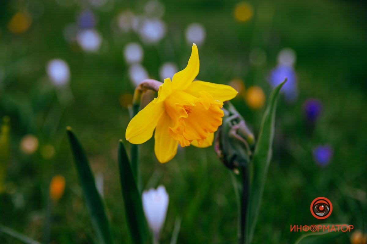 Дождь сделает свое дело Дождь сделает свое дело