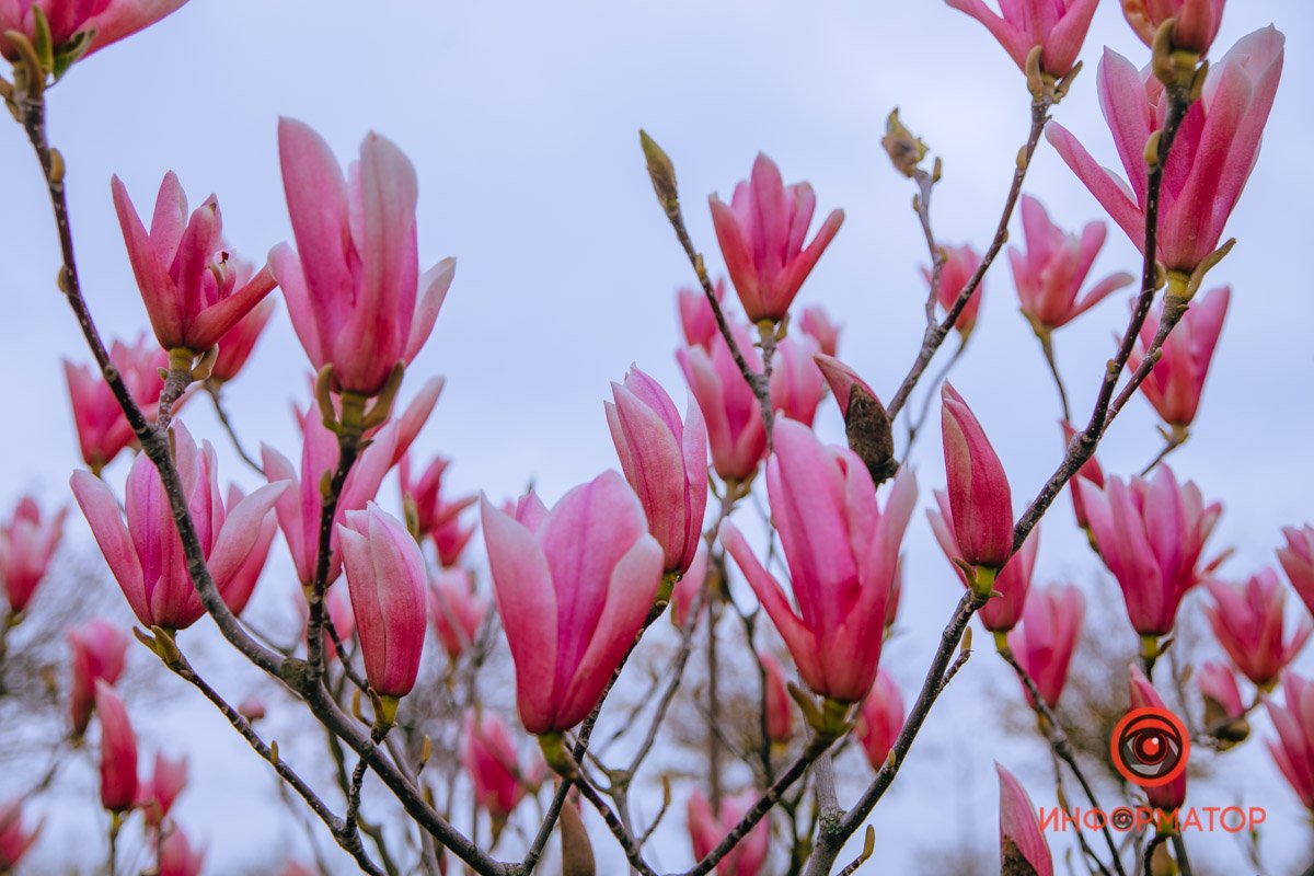 Поднялись все Поднялись все