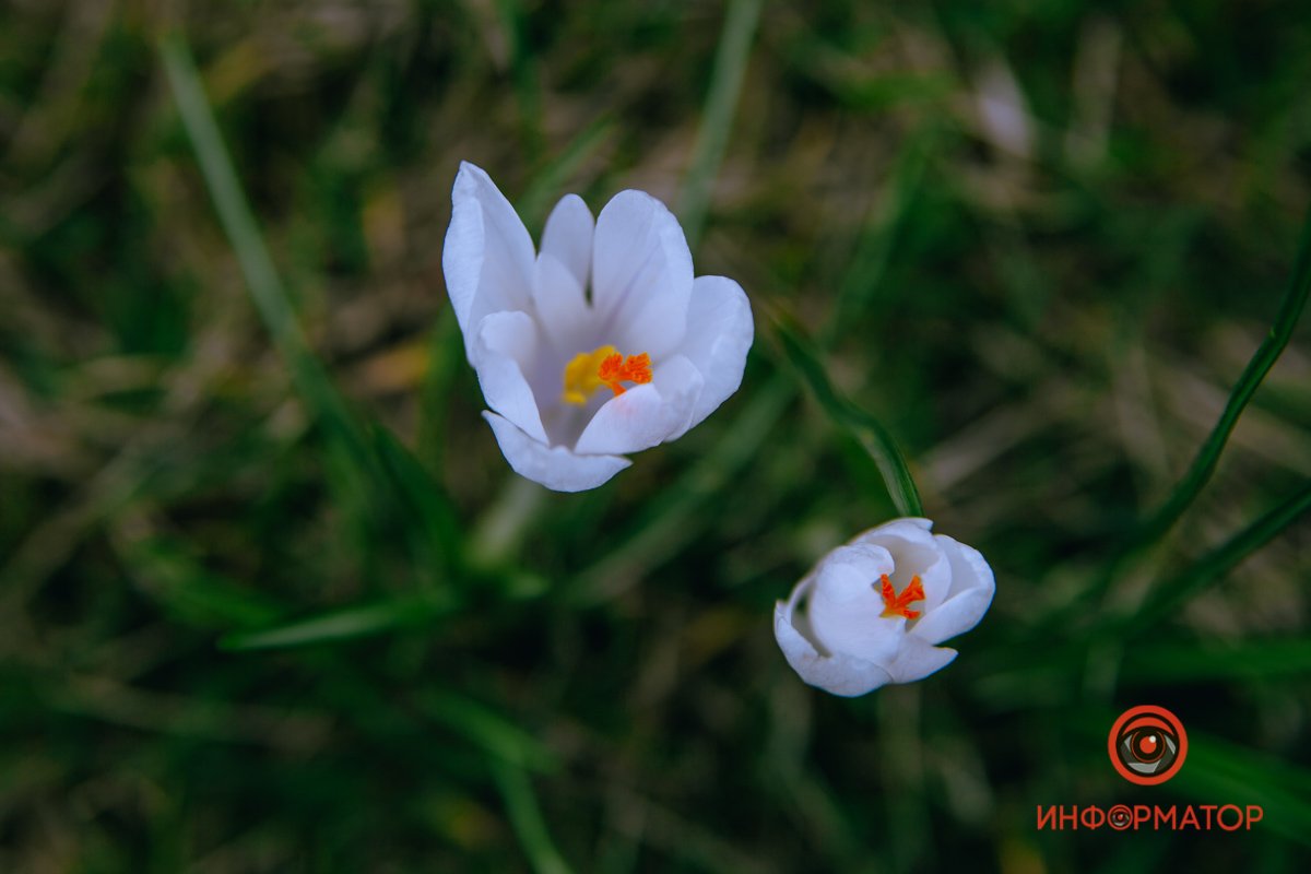Жизнь-самый ценный подарок Жизнь-самый ценный подарок