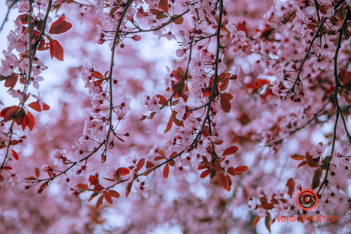 Природа великолепна Природа великолепна