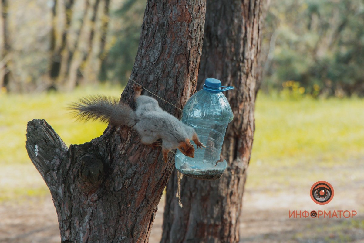 Ну и что там у нас сегодня дают? Ну и что там у нас сегодня дают?