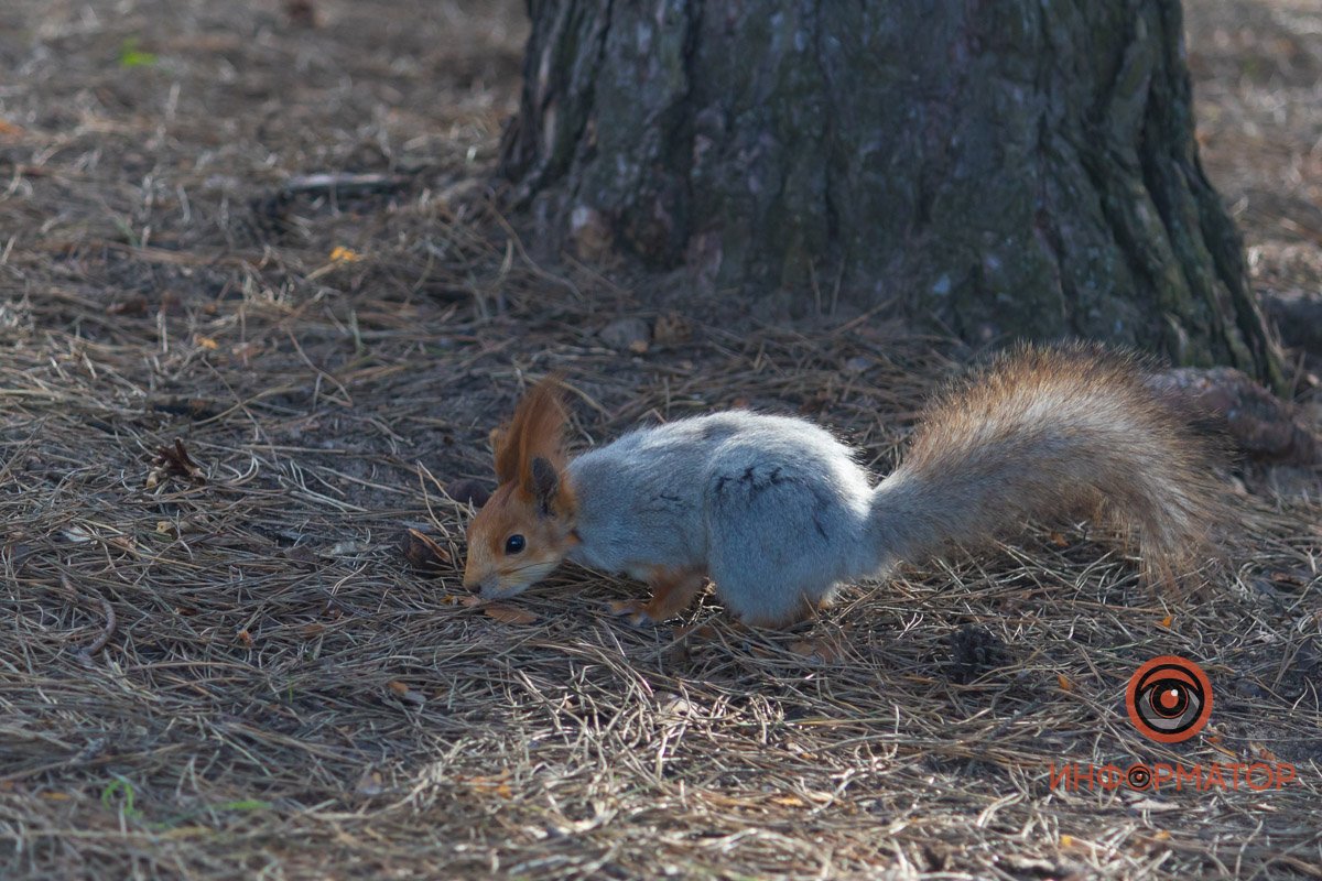 Фото: Денис Чубченко Фото: Денис Чубченко