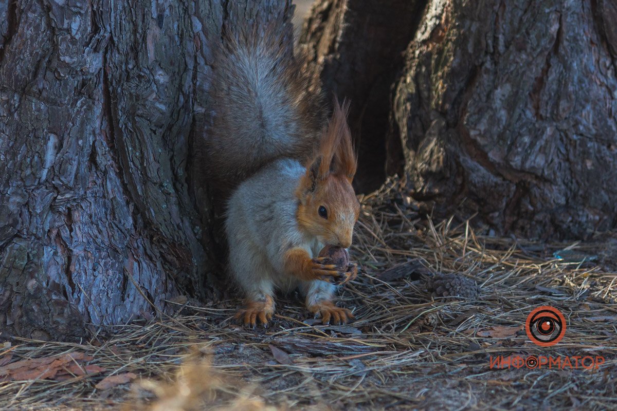 Как из сказки Как из сказки