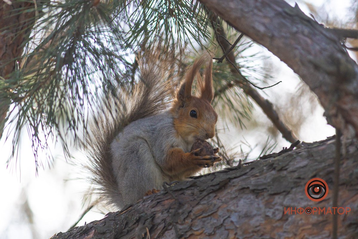 Отвлекитесь от мрачных мыслей. Хоть ненадолго. Отвлекитесь от мрачных мыслей. Хоть ненадолго.