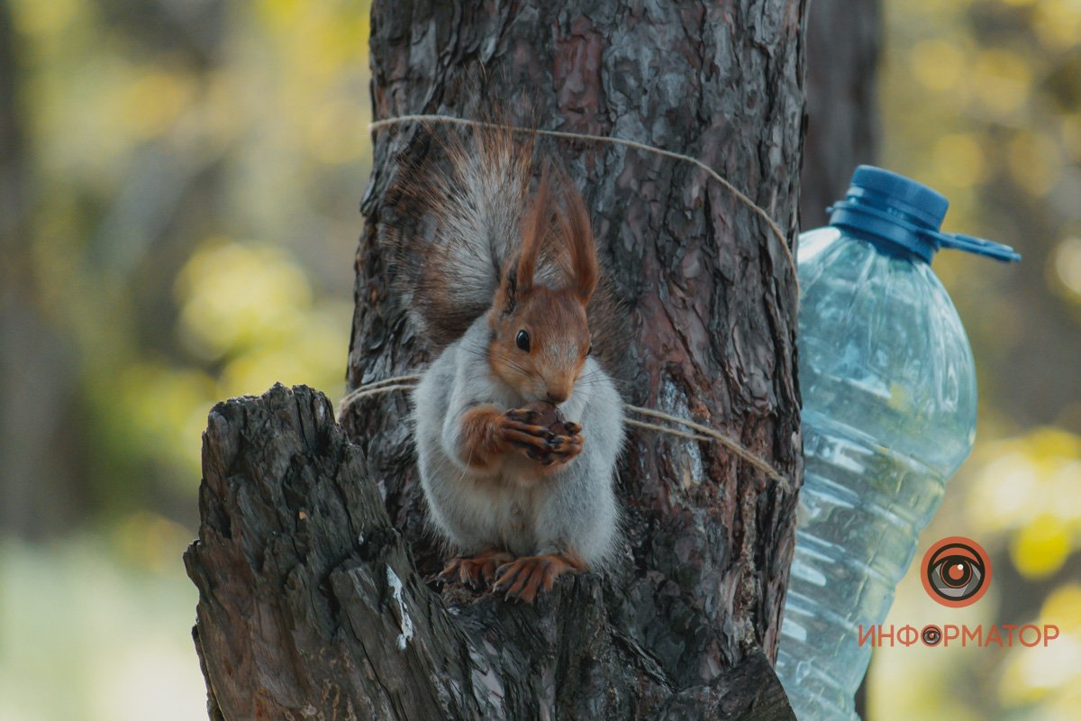 Все будет хорошо Все будет хорошо