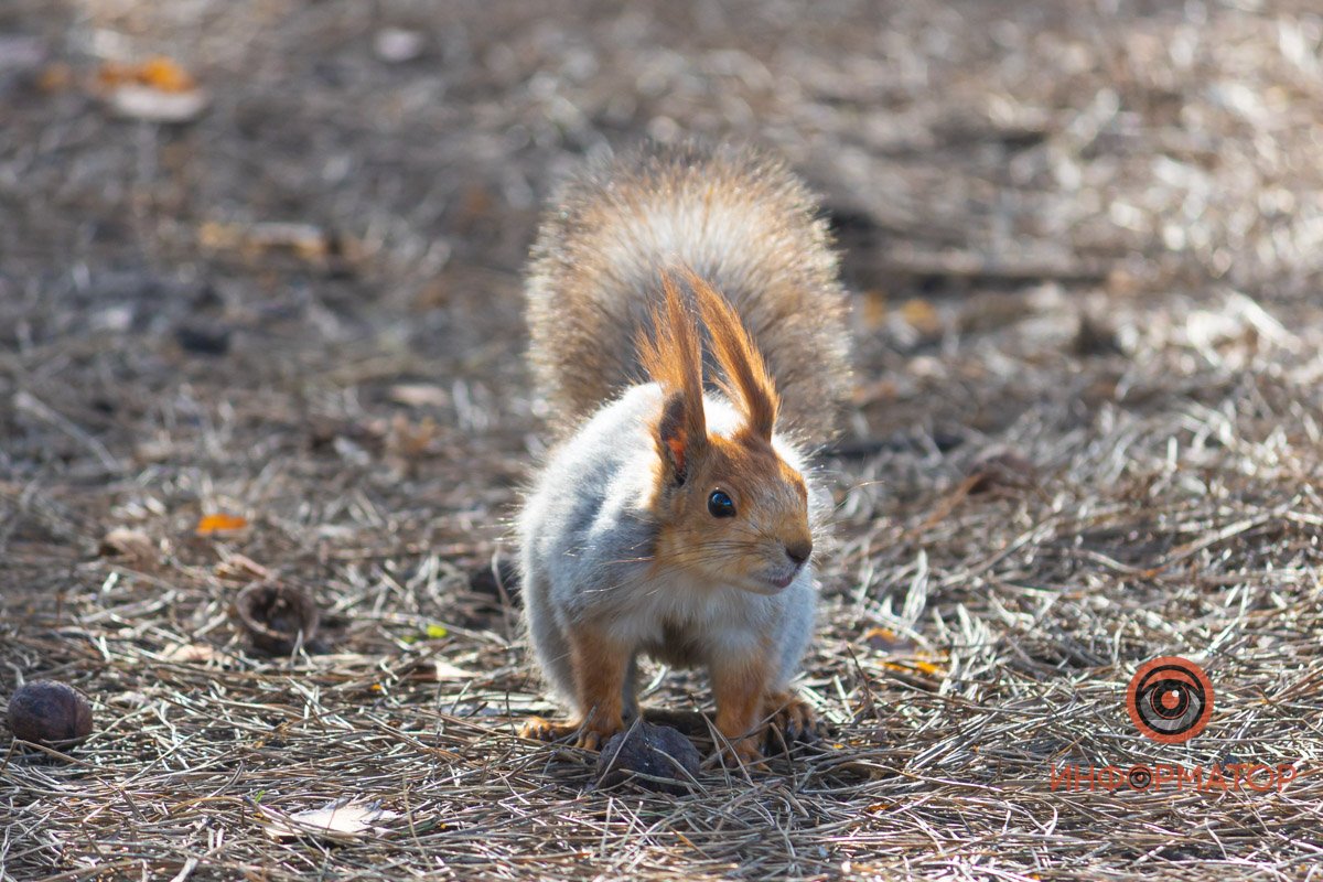 Жизнь продолжается Жизнь продолжается