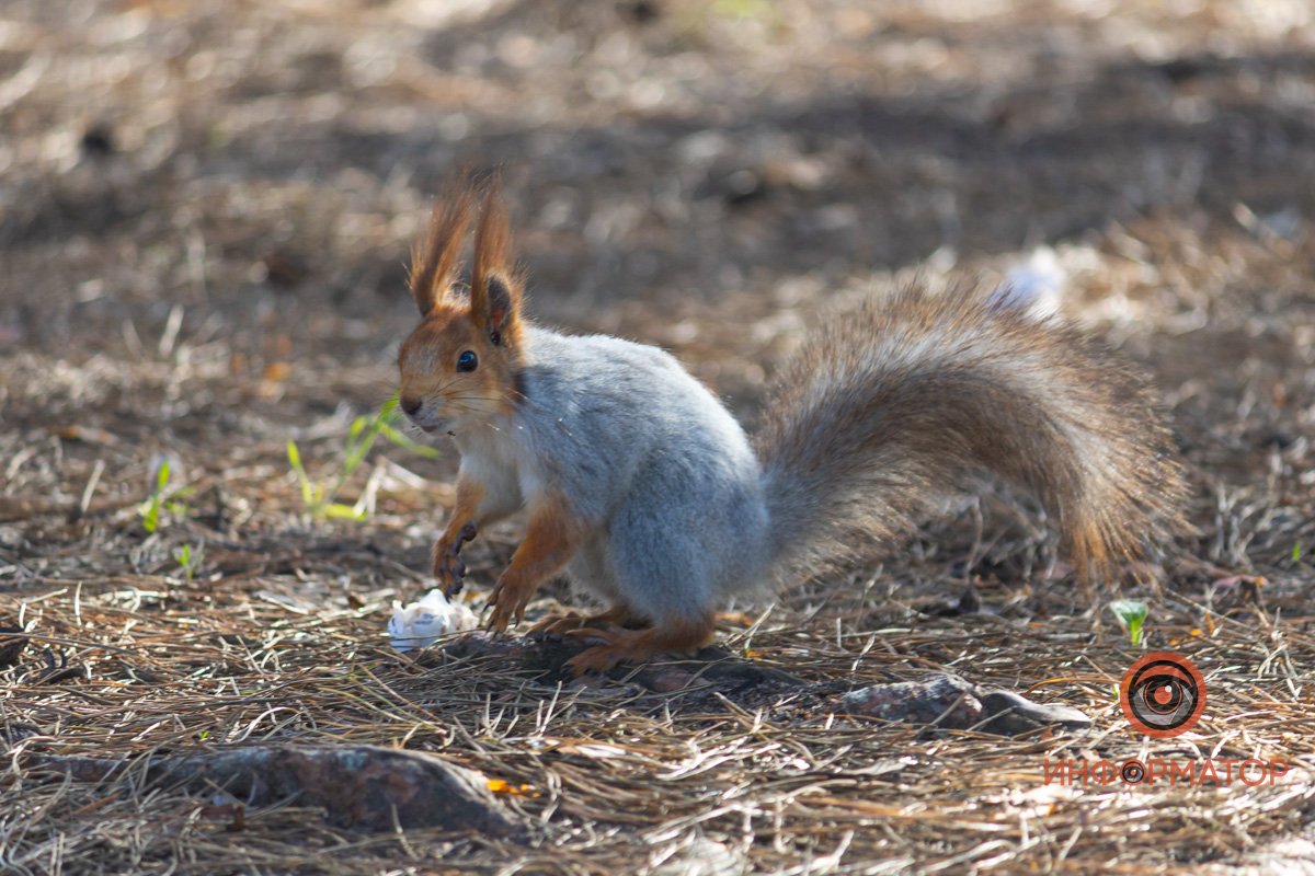 Задумалась Задумалась