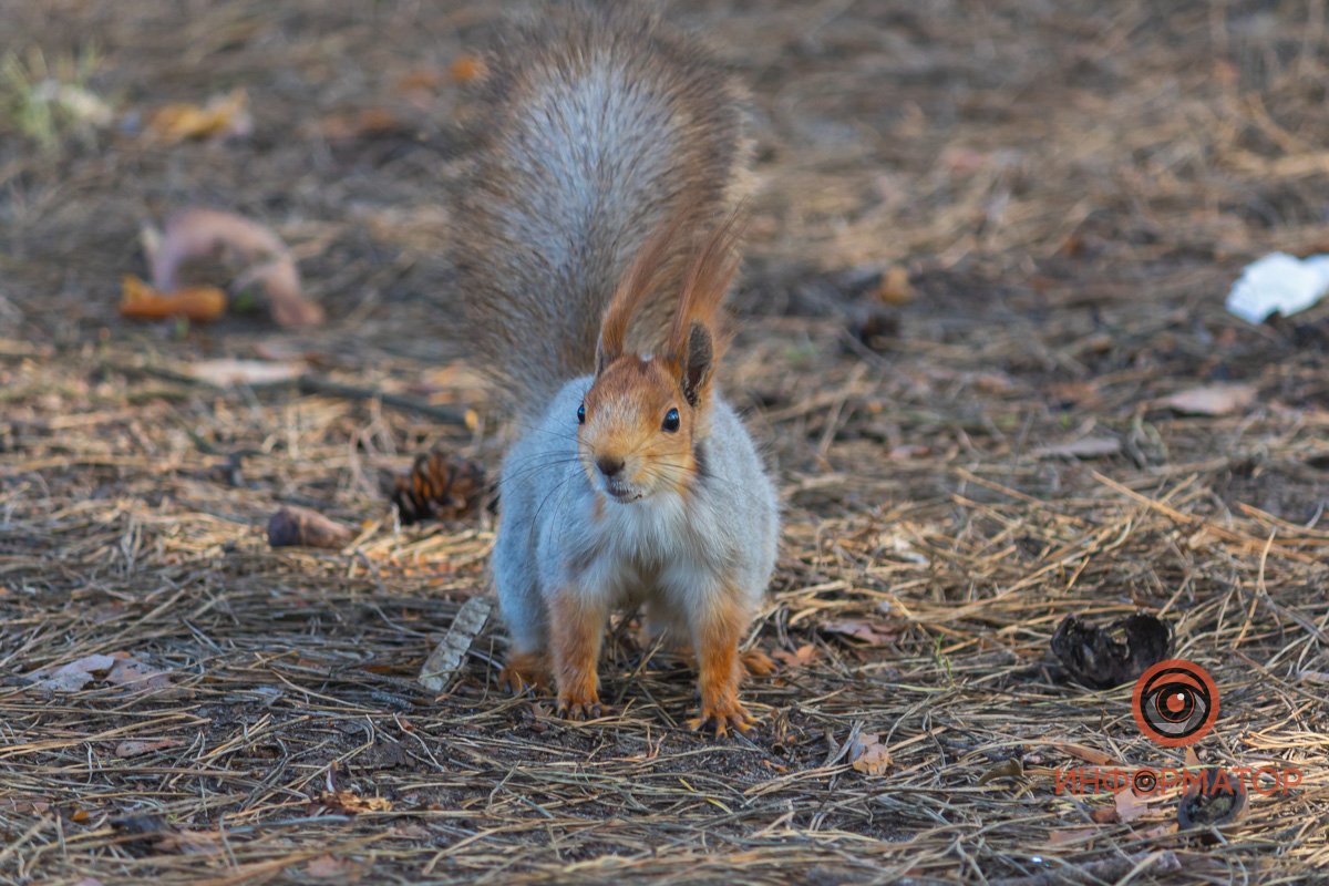 Фото: Денис Чубченко Фото: Денис Чубченко