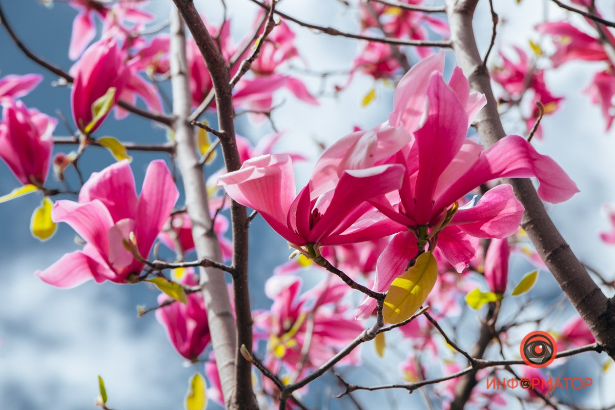 Мирное небо