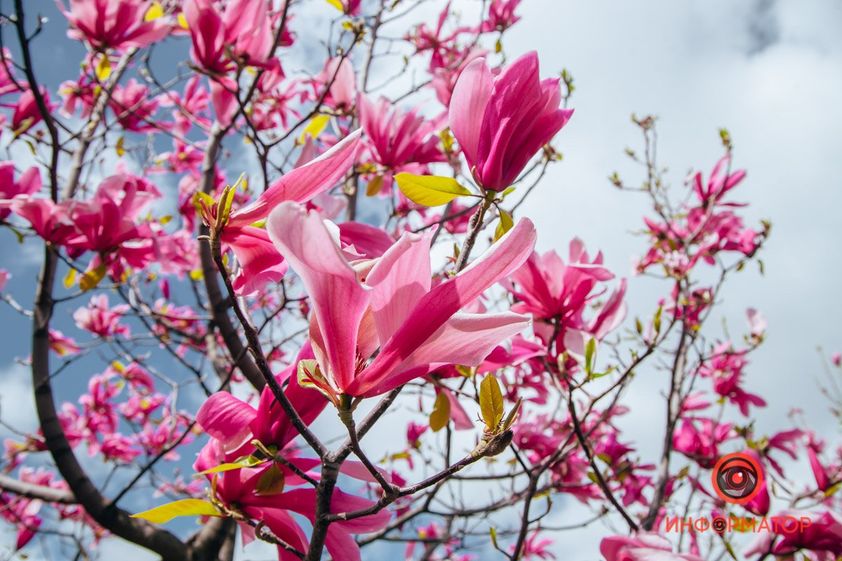 Нежность в одном фото