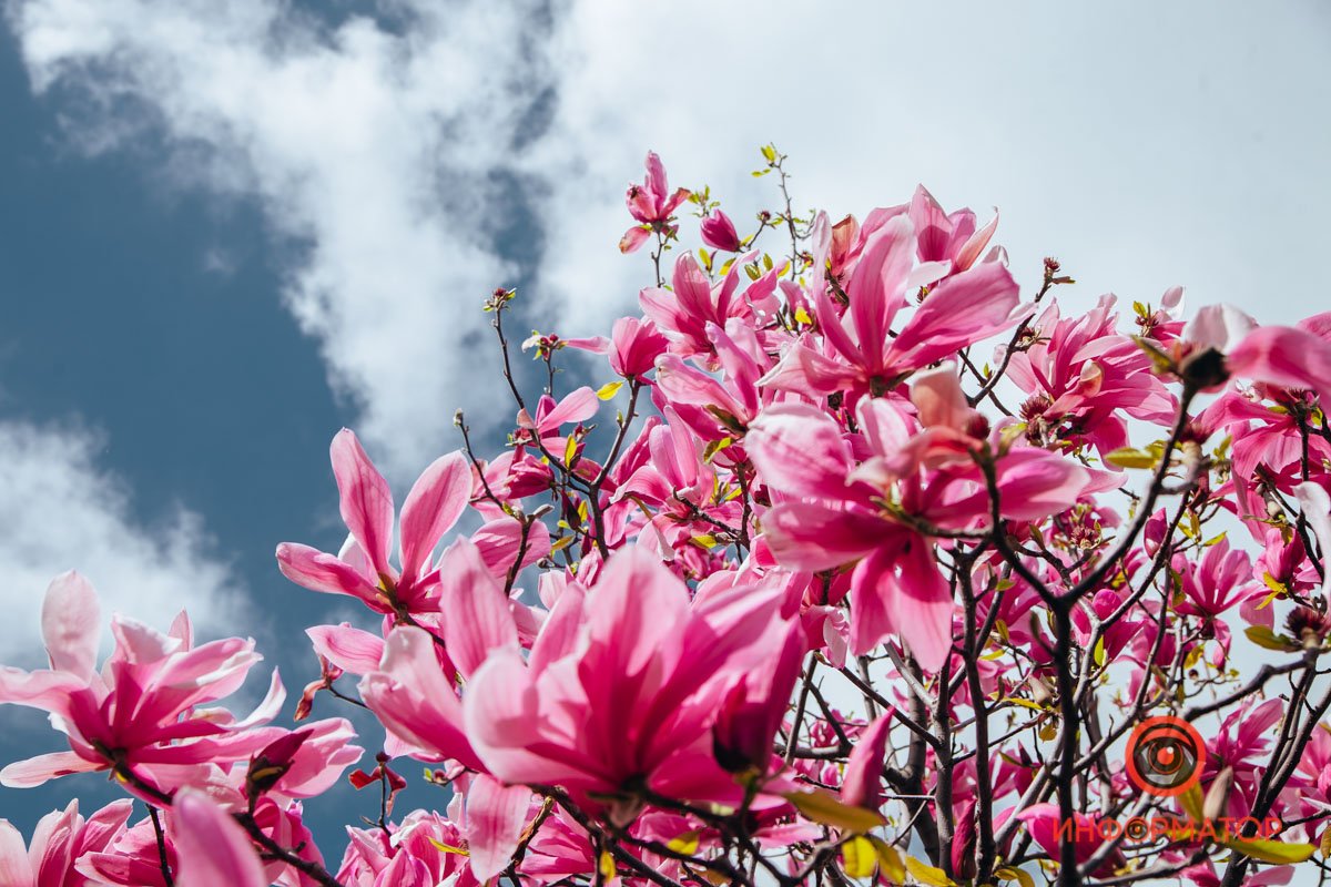 Думайте о хорошем