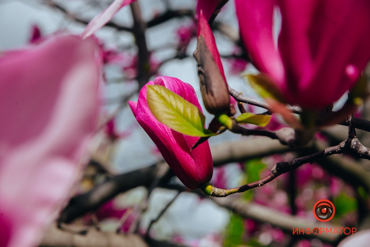 Еще немного