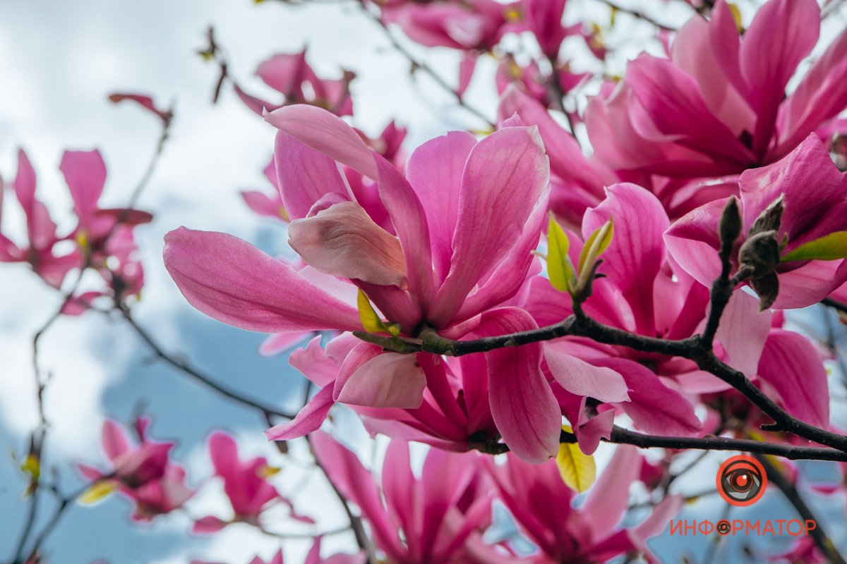 Настраиваемся на позитив