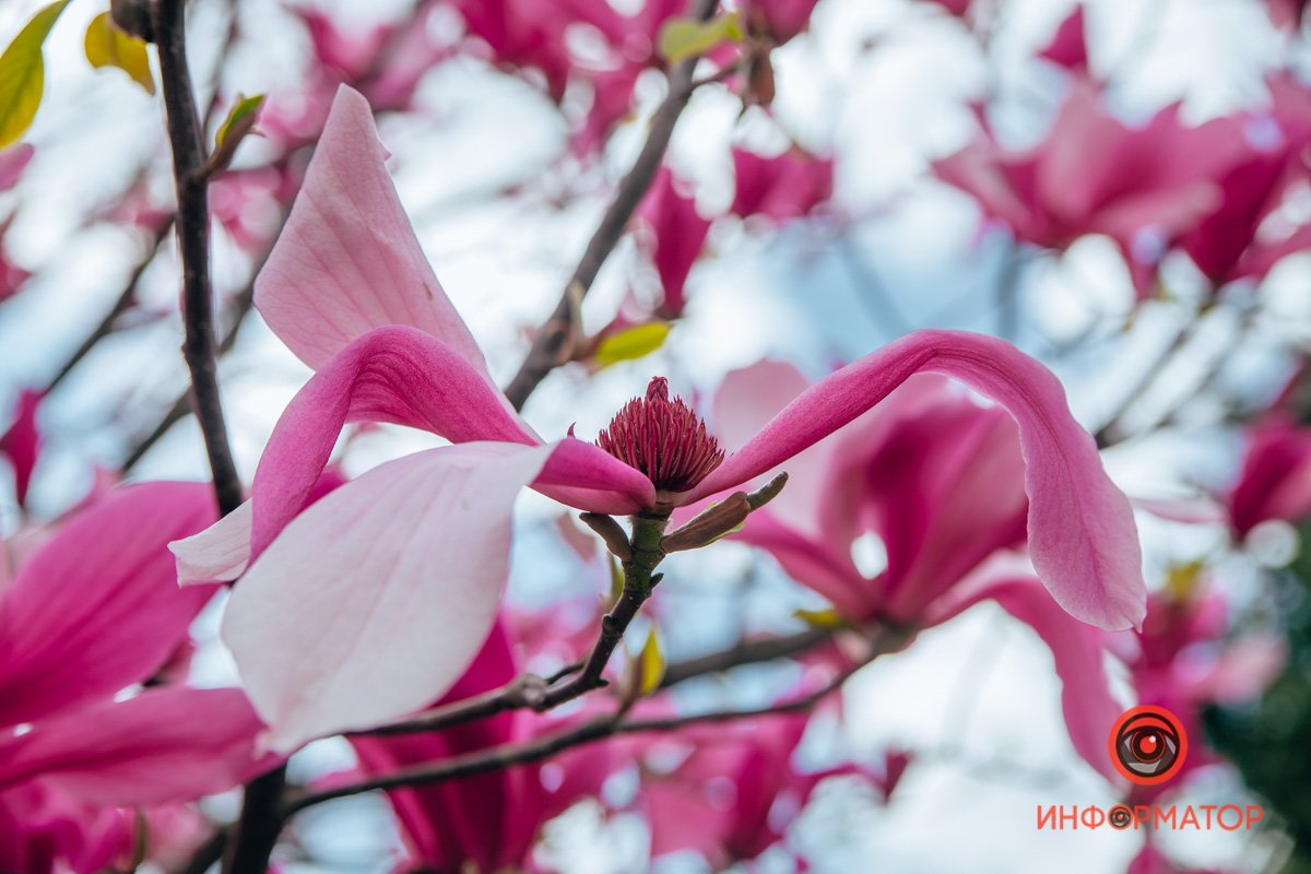 Думаем о хорошем