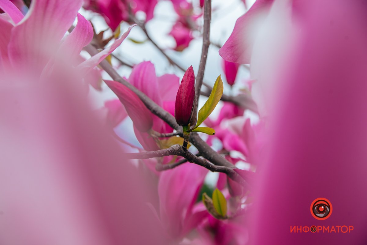 Только вперед 