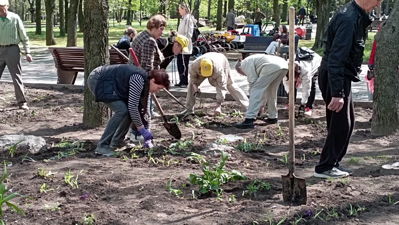 Ирисы, нарциссы, мускари и барвинки: в одном из парков Днепра высадили цветы 2