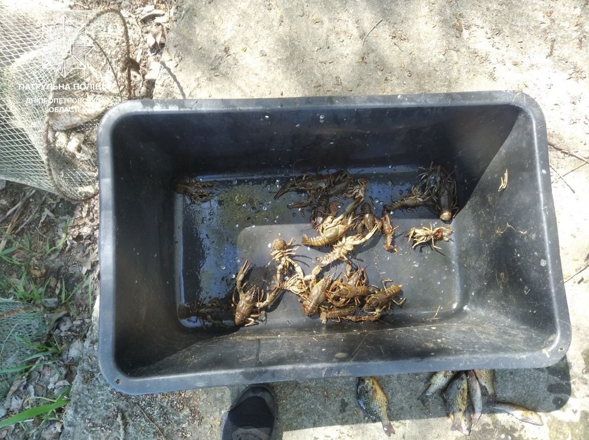 В Днепре задержали двоих рыбаков-браконьеров 3