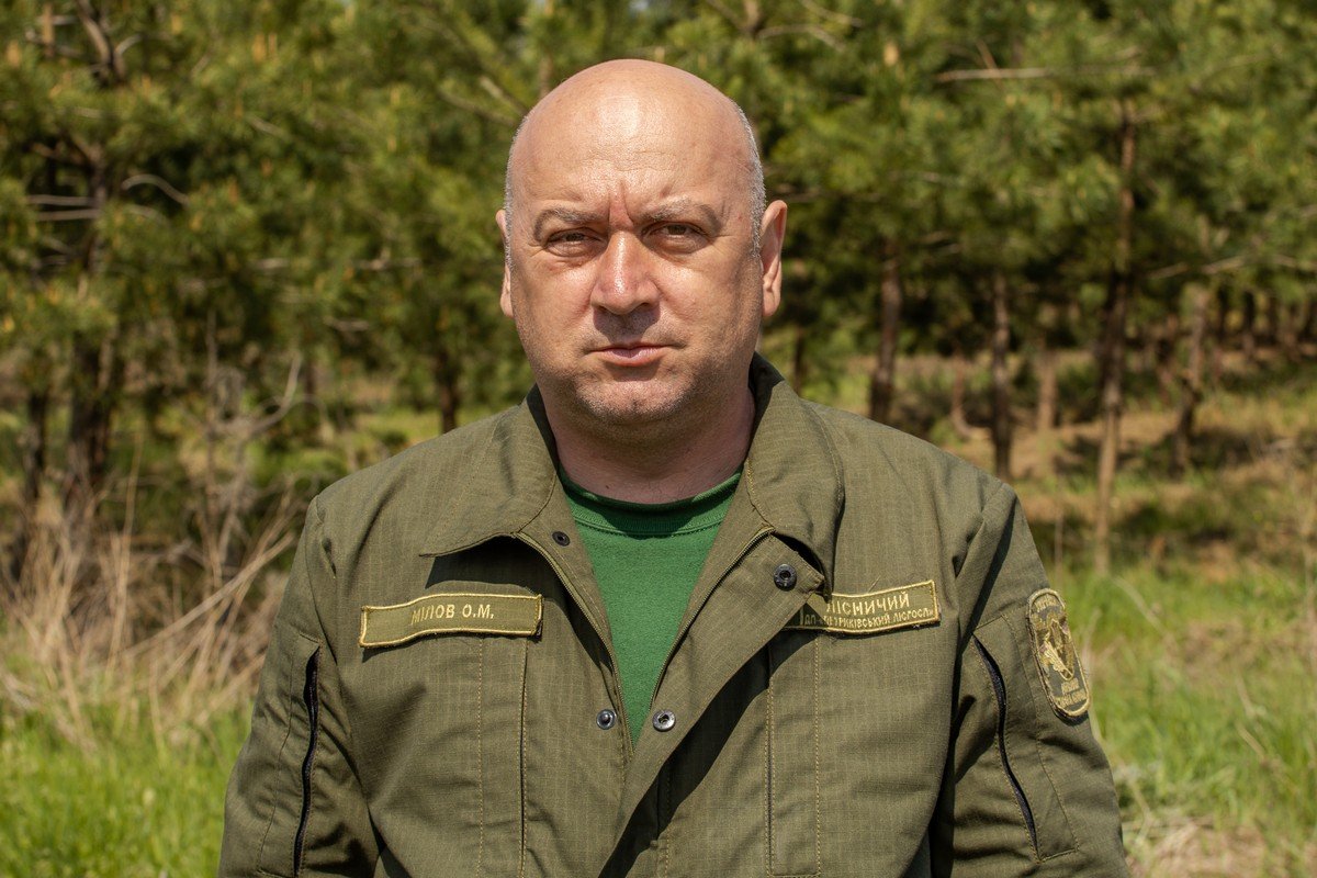 В этом году в Днепропетровской области высадили около 170 гектаров лесов 4