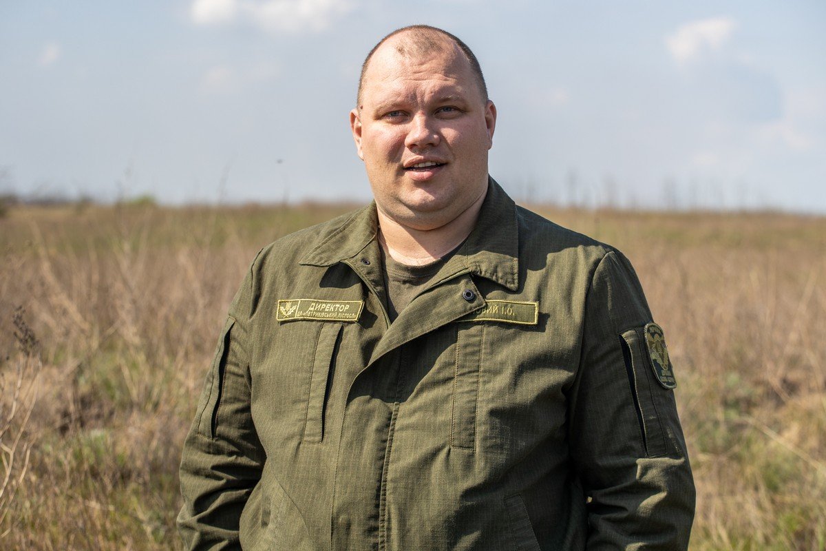 В этом году в Днепропетровской области высадили около 170 гектаров лесов 12