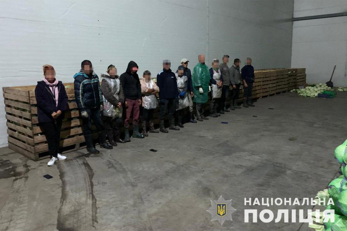 60 человек освободили из трудового рабства 60 человек освободили из трудового рабства