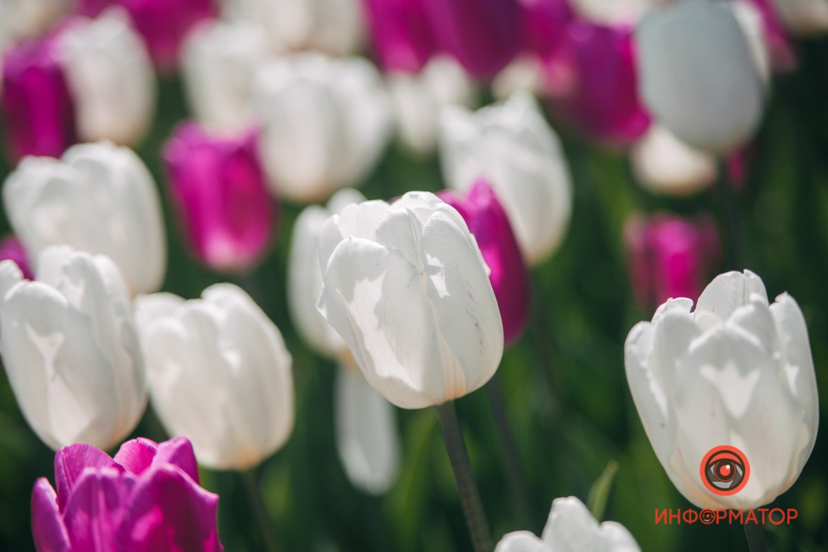 Сложил свои ладошки,