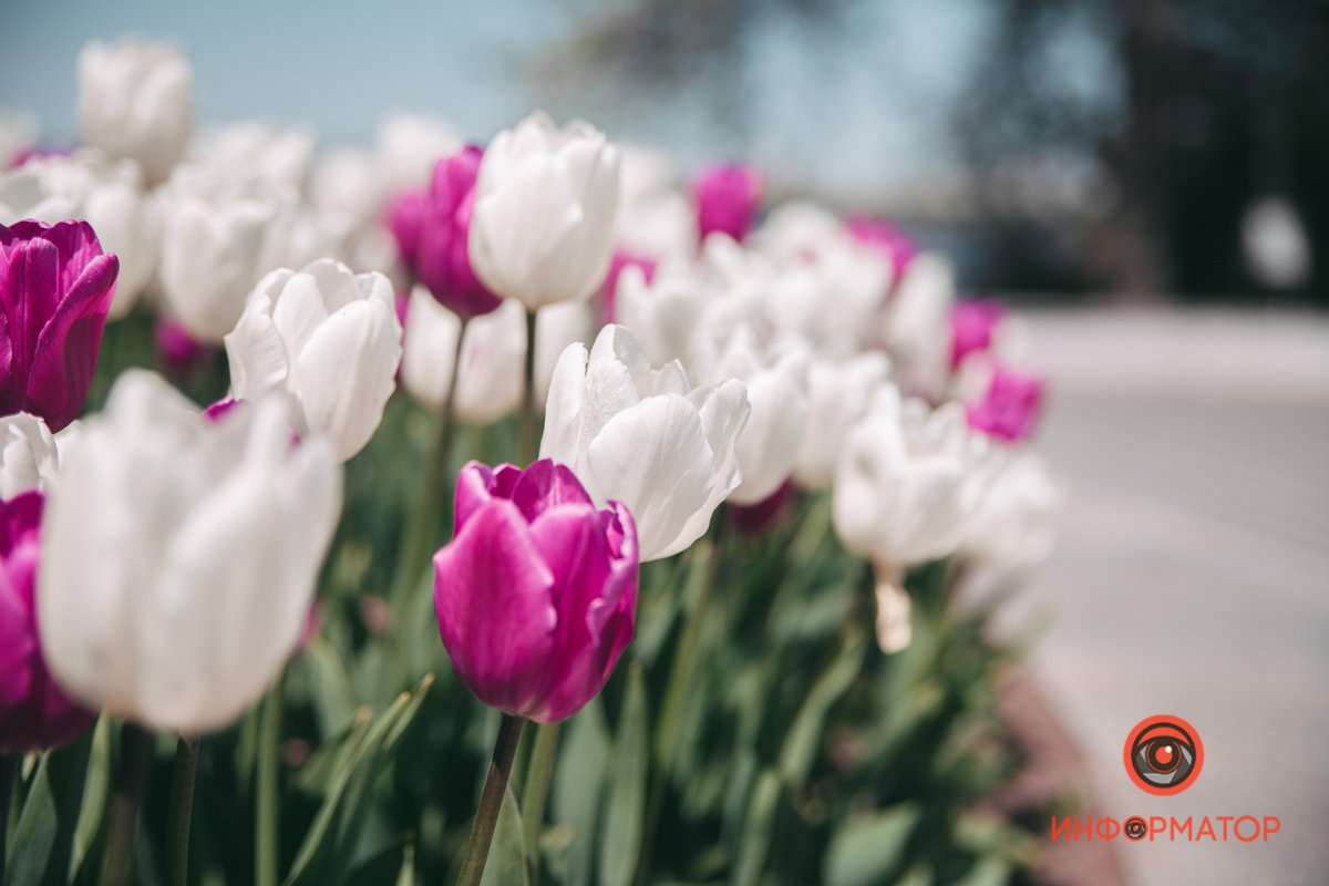 Расскажут все без слов