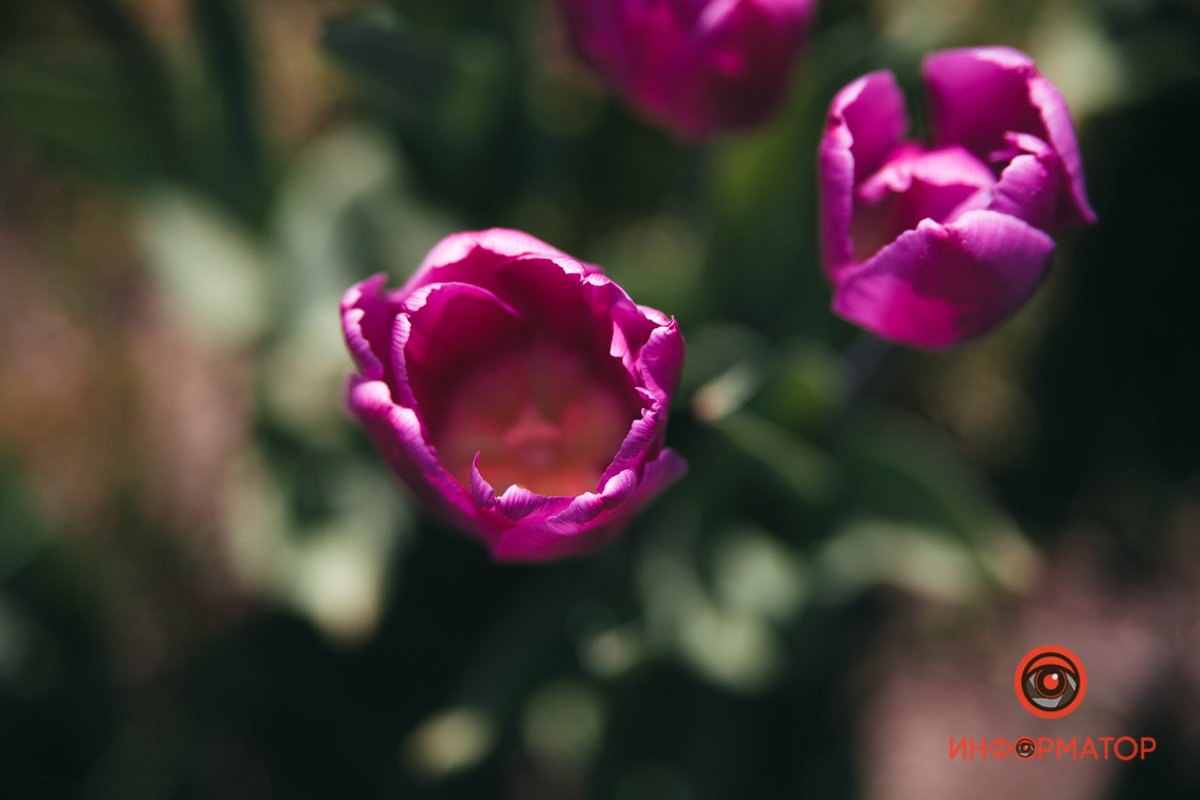 На крупную симпатию в сердечке