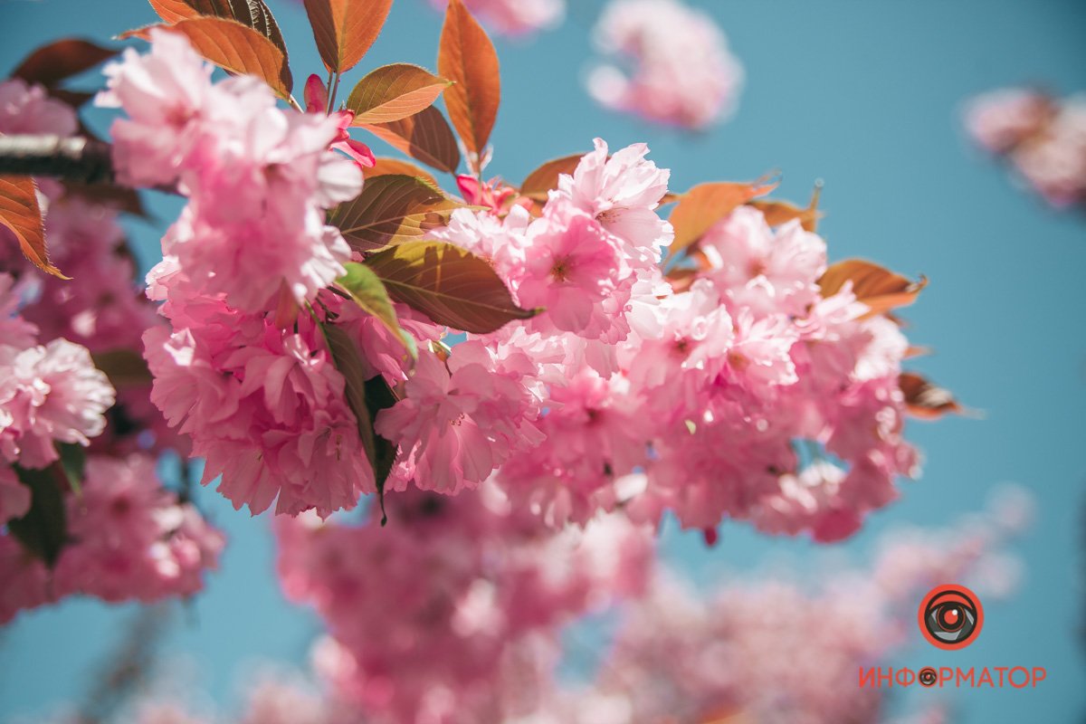 Жаль, что экран не передает запах (пока что)