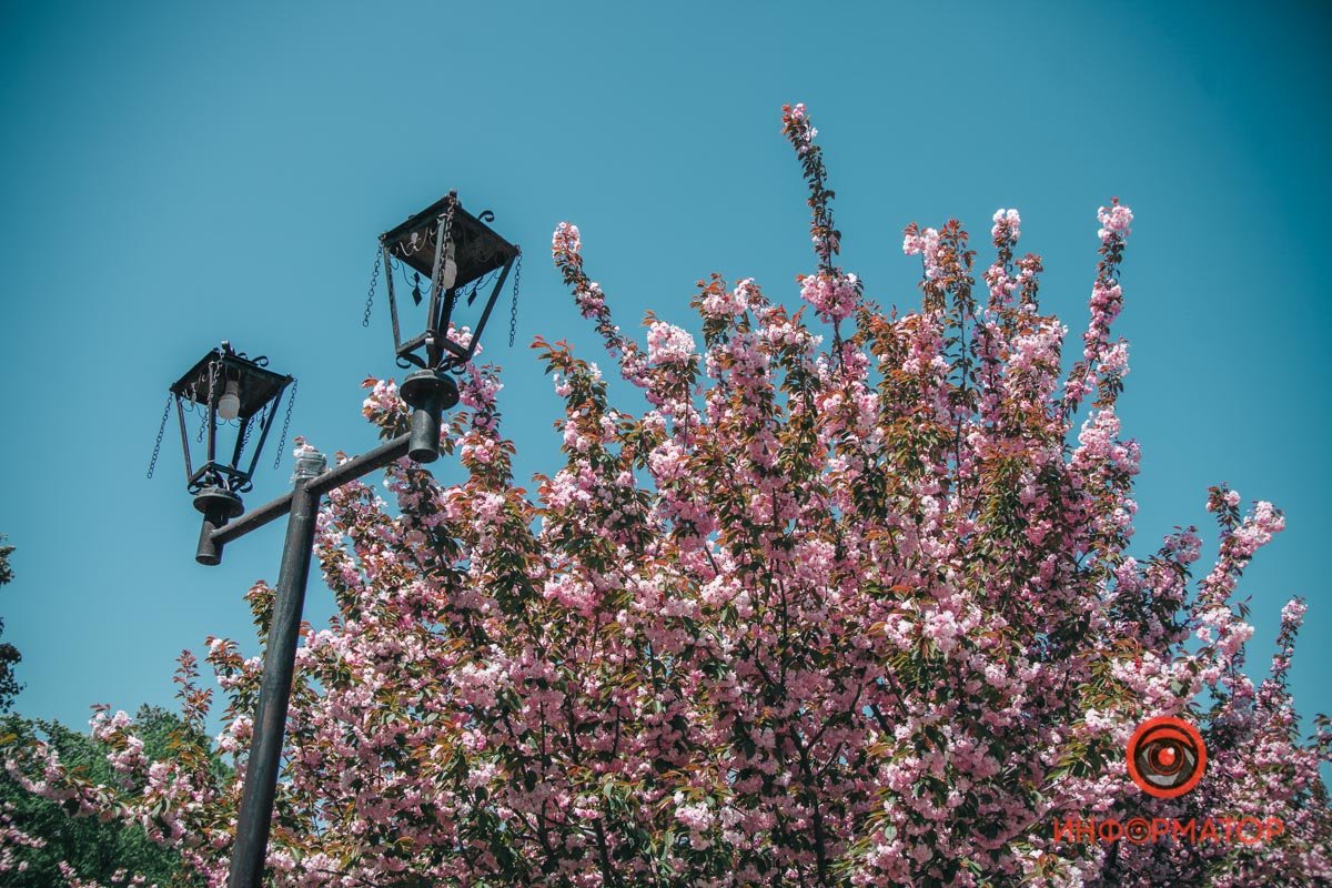 Уже придумали хокку