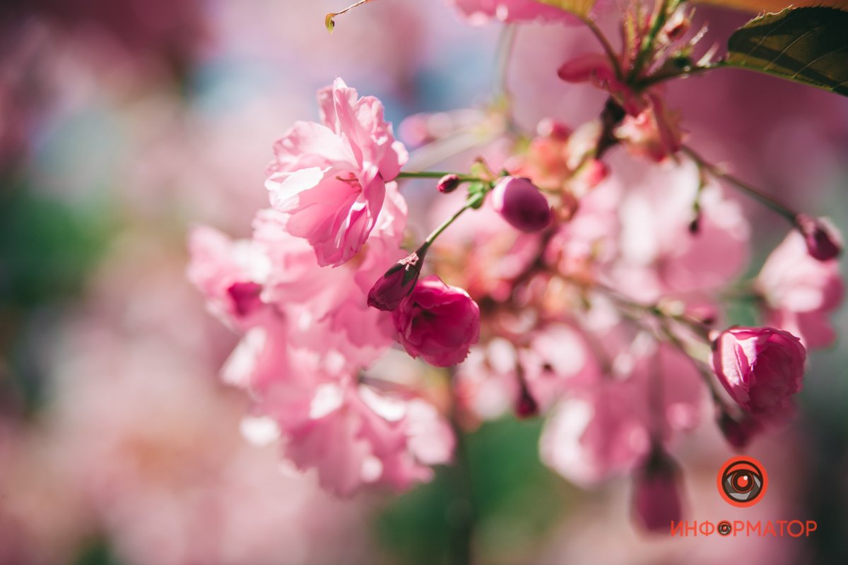 Только готовится