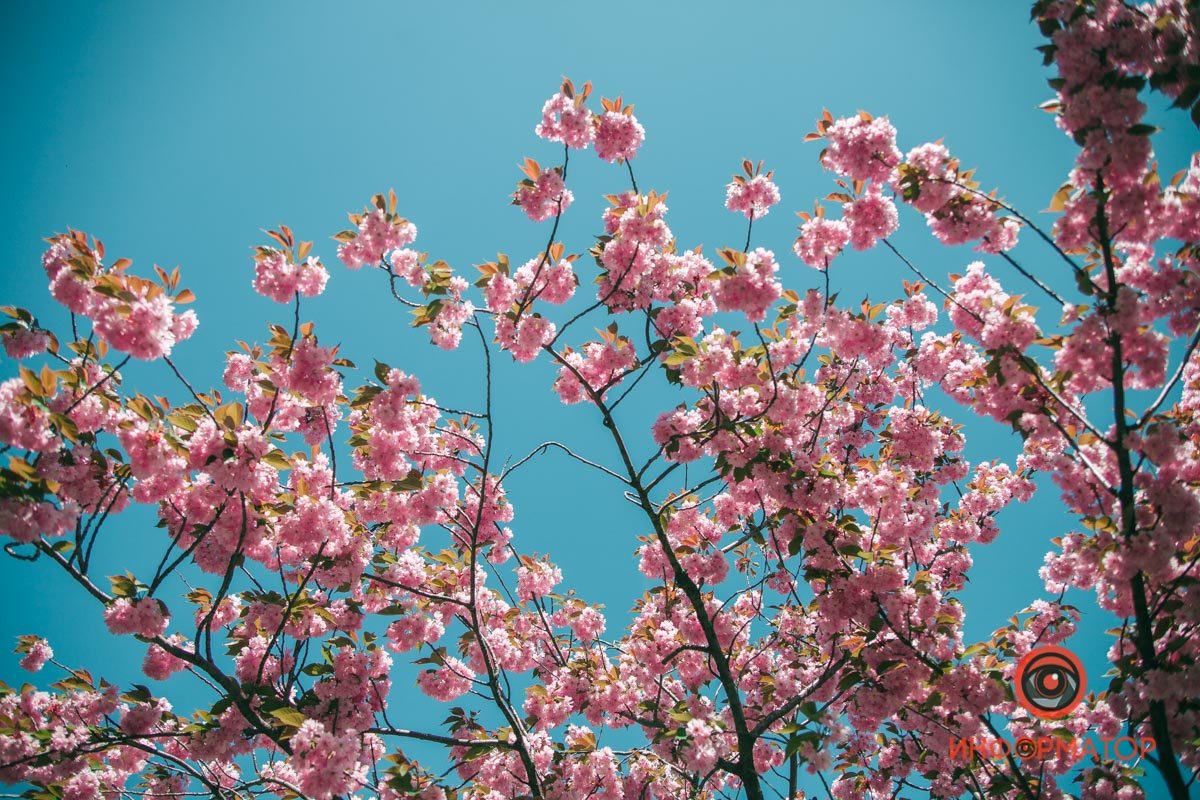 Греется под лучами солнца