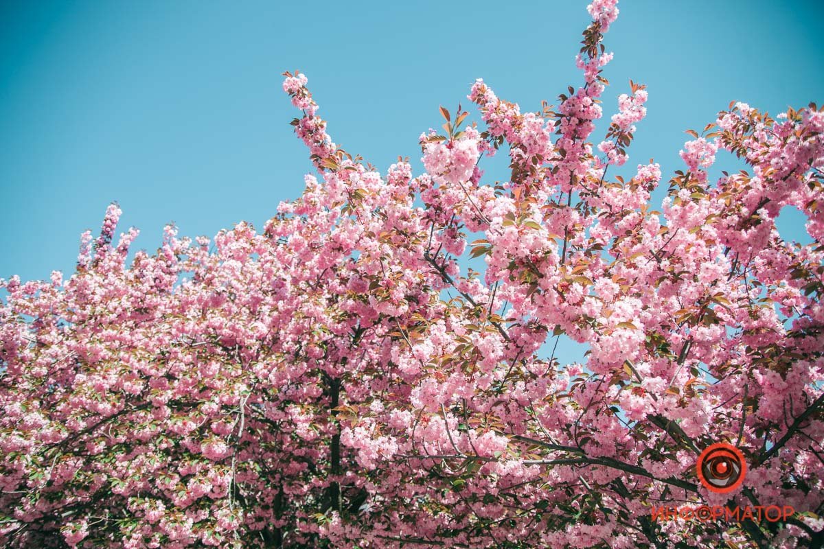 Хочется смотреть часами