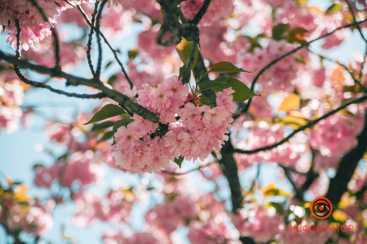 Умиротворение