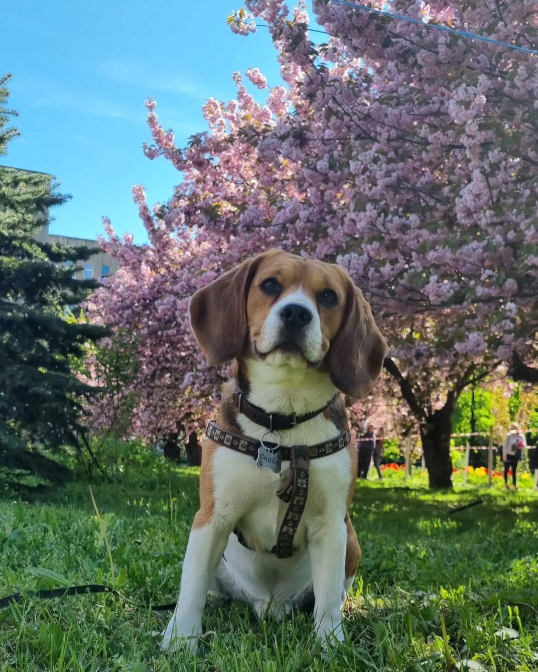 Фото: @katushadance0107