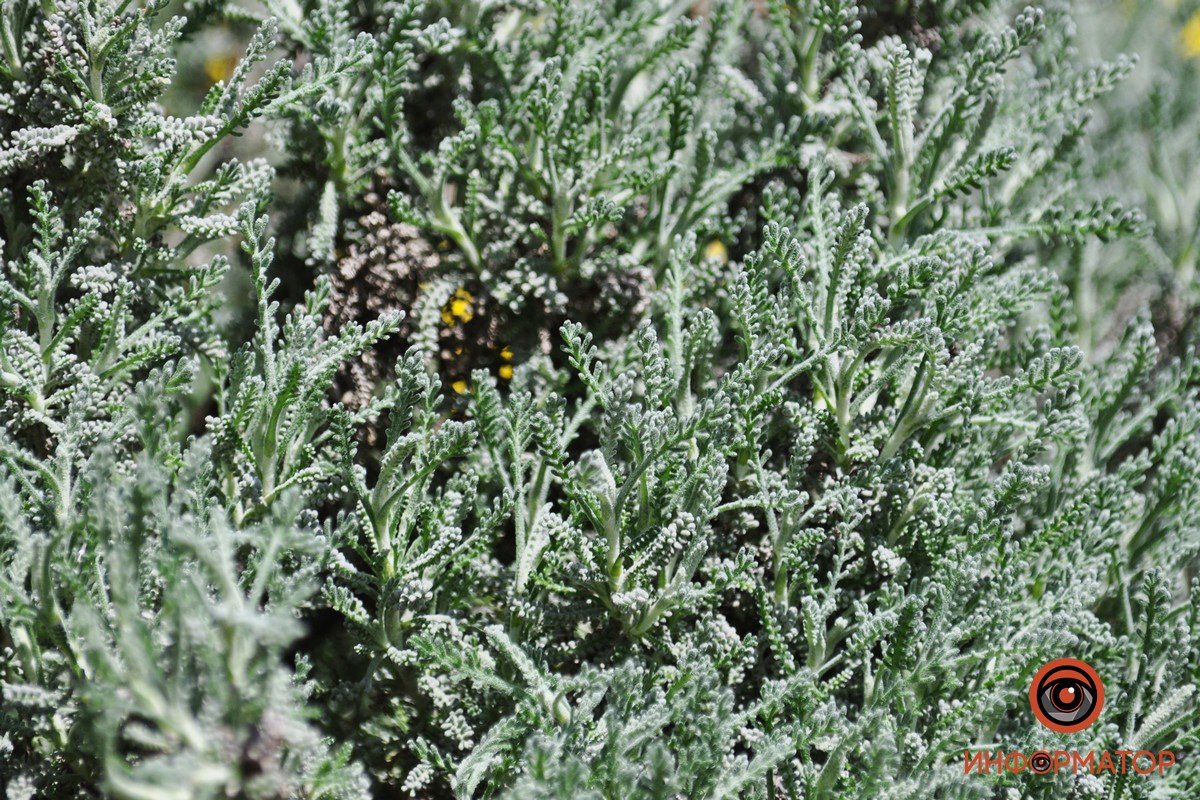 Улица Бронетанковая, 1а 