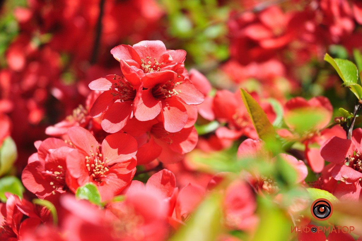 С понедельника по пятницу, с 9:00 до 14:00 