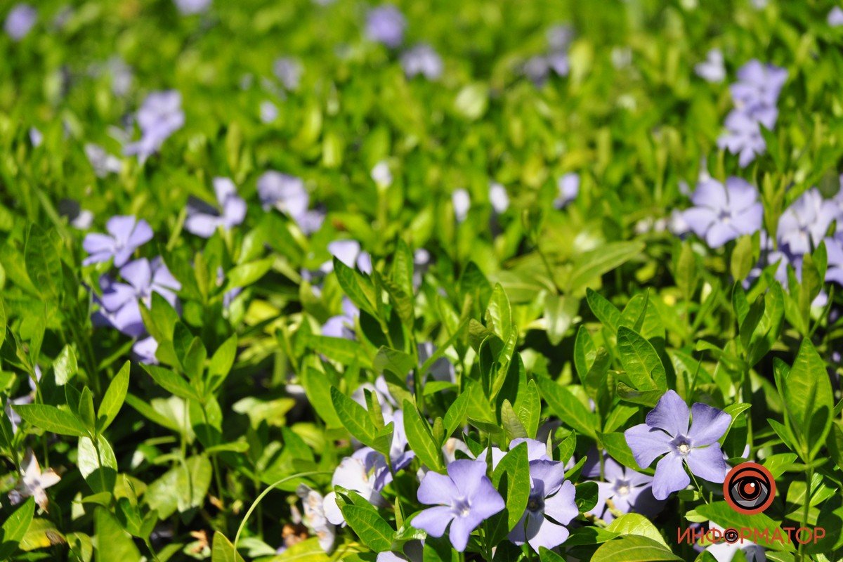 Телефон: (056) 766-49-60