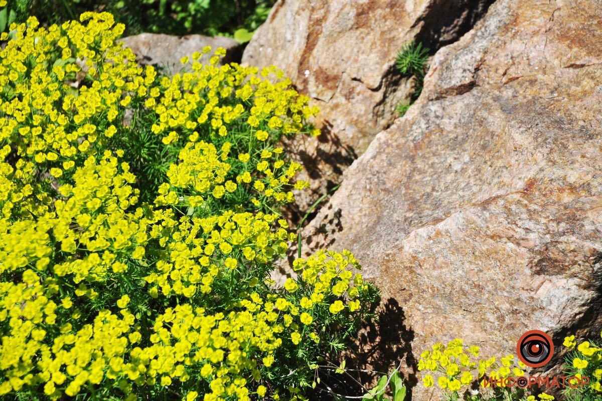 Для взрослых – 30 грн, для детей – 15 грн