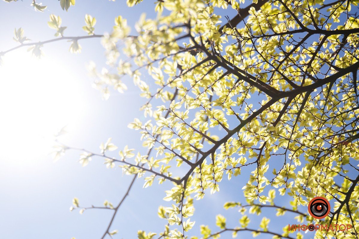 Район проспекта Гагарина, 72