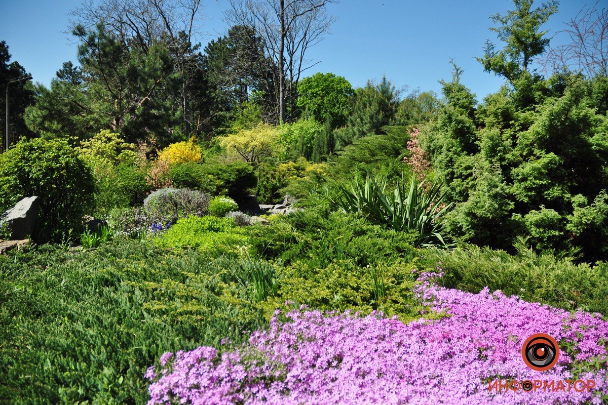 В ботсаду можно найти более 3500 видов растений